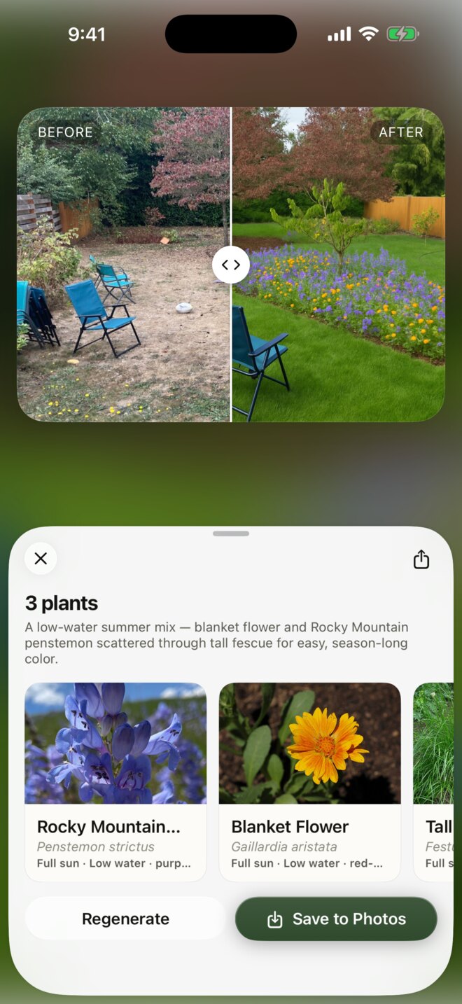 A before-and-after preview of the yard
